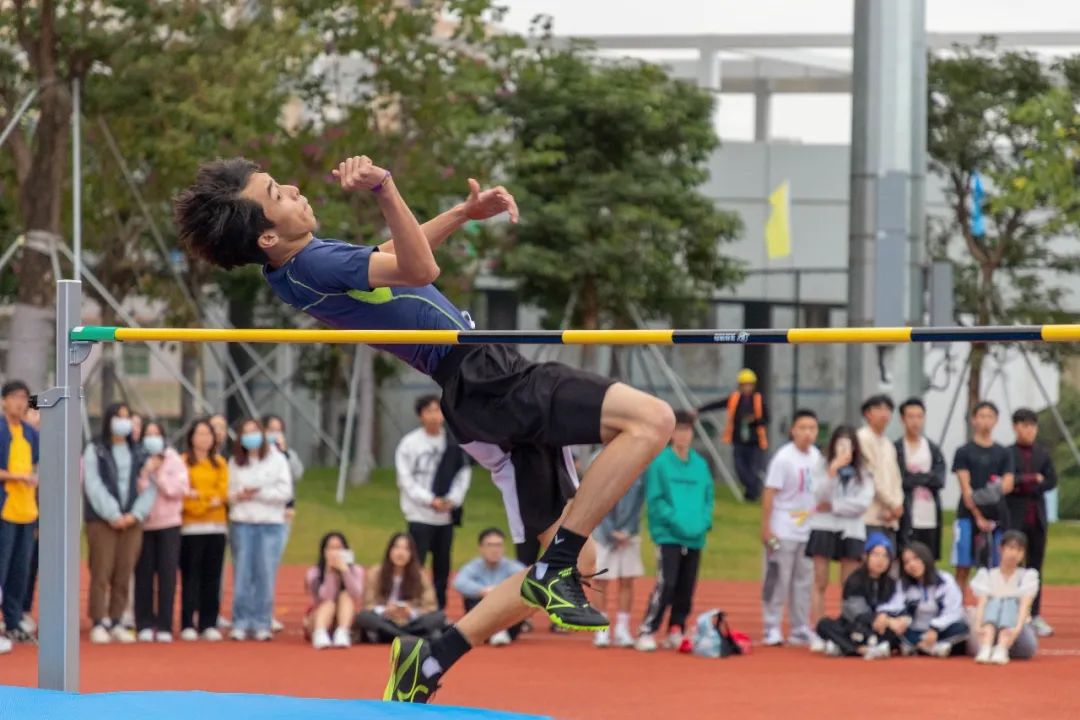 深圳技术大学交通与物流学院概况,深圳城市交通与物流学院