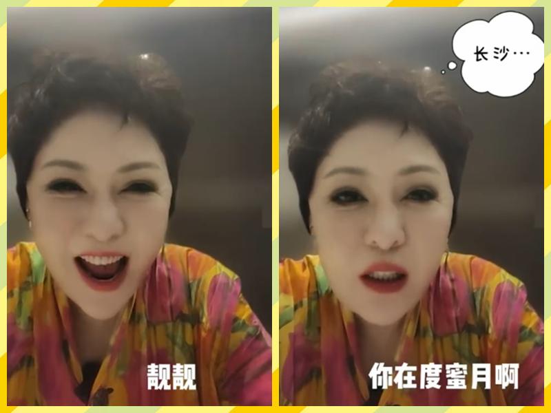 向太评价袁咏仪,向太给袁咏仪爱马仕