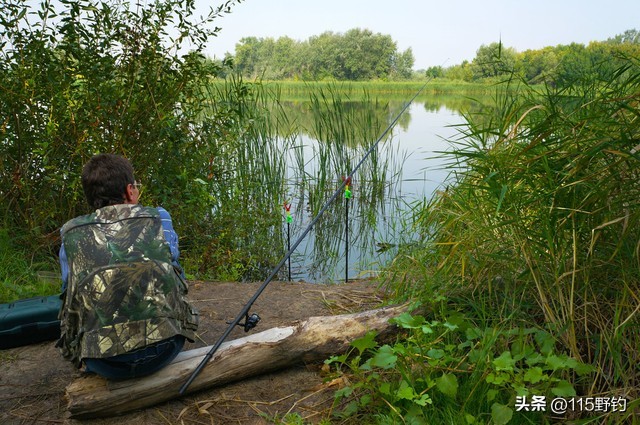 野钓鱼饵药粉配方,钓鱼粉末诱食剂配方大全