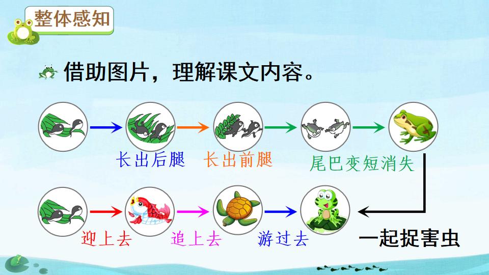 小蝌蚪找妈妈绘本ppt制作教程,二年级课文小蝌蚪找妈妈ppt背景