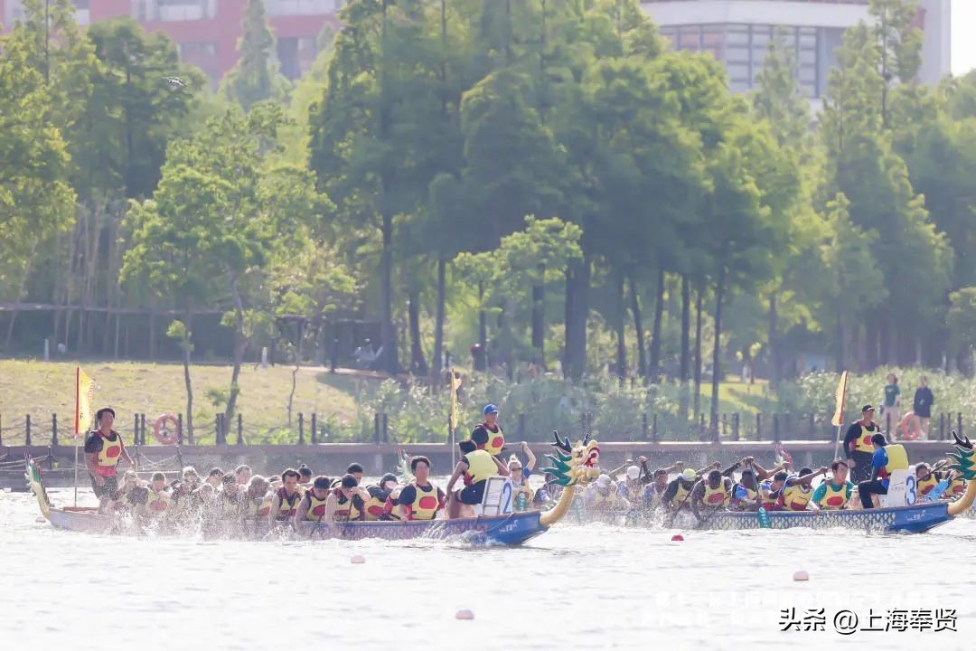 上海留学生龙舟比赛,长三角地区外国留学生龙舟邀请赛