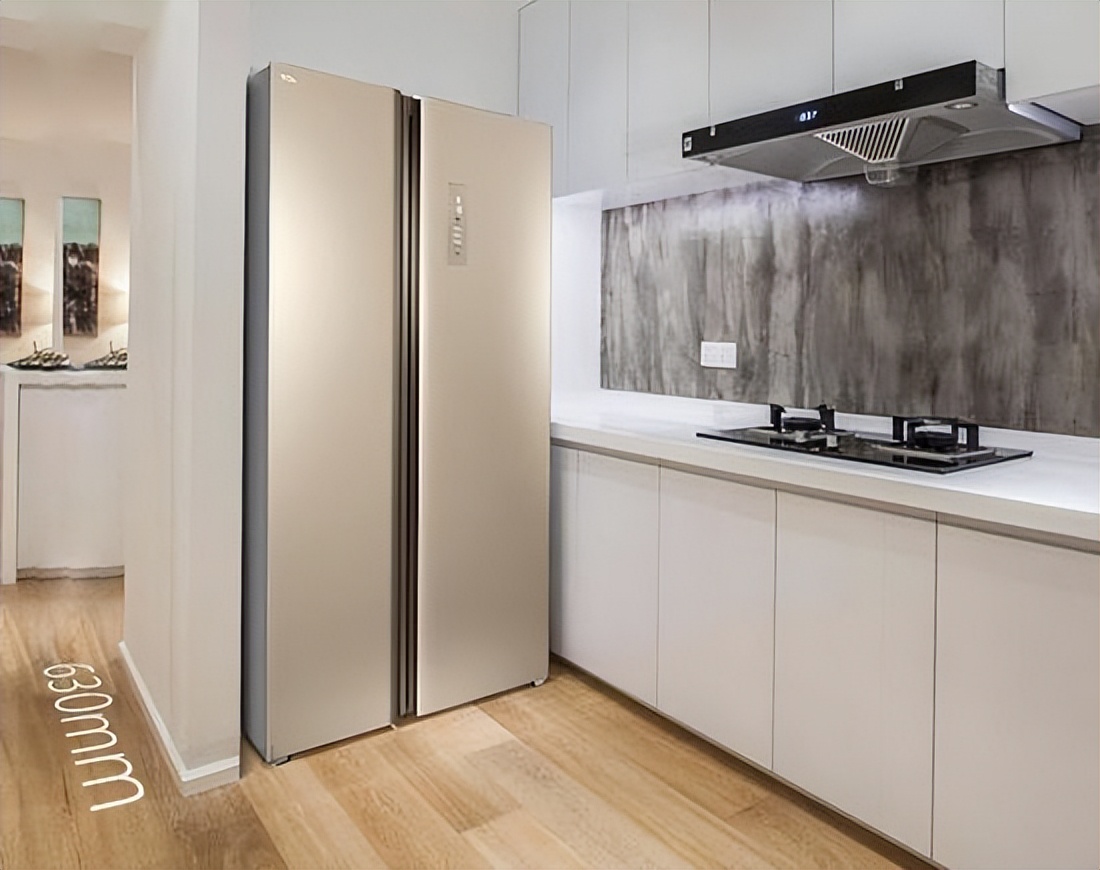 双开门冰箱的优缺点,双开门冰箱与四开门冰箱的优缺点