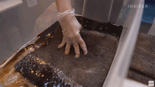 用头发可以清理石油爆上热搜!秃头网友狂喜:哈哈天生我材必有用