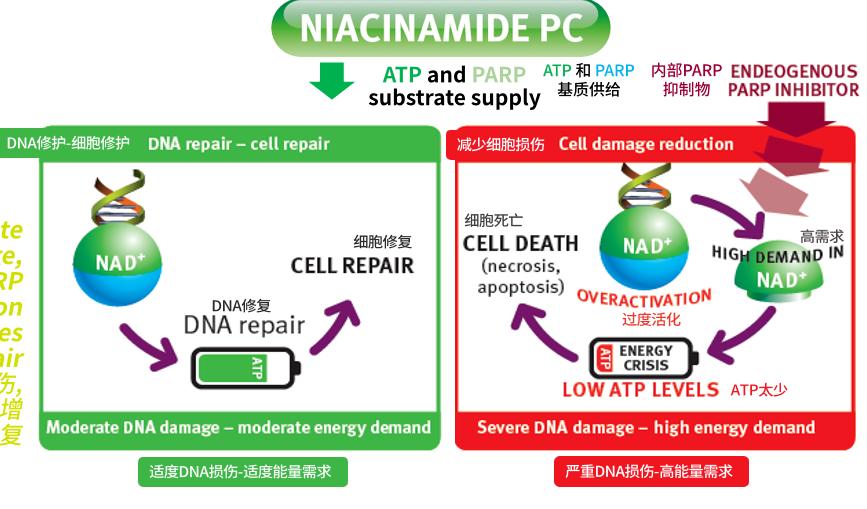 一般人都怎么护肤,正常护肤都需要什么成分