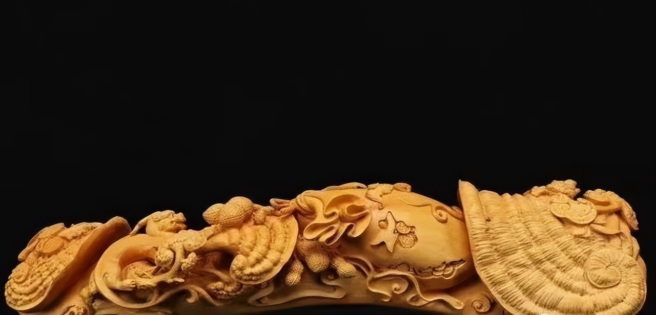 最好看的黄杨木,十种最好看的黄杨木