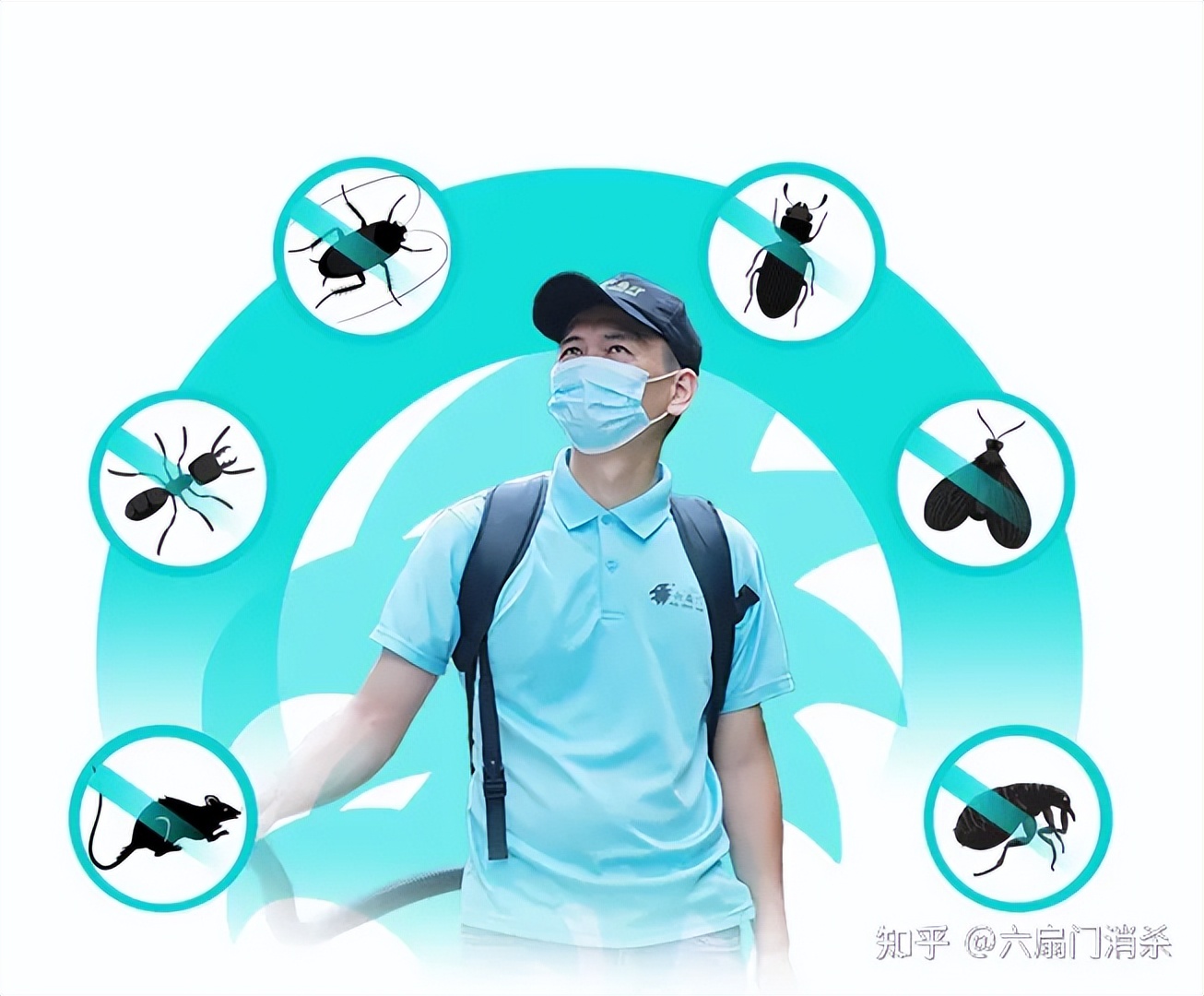 夏天果蝇从哪儿来,天气变暖好多果蝇