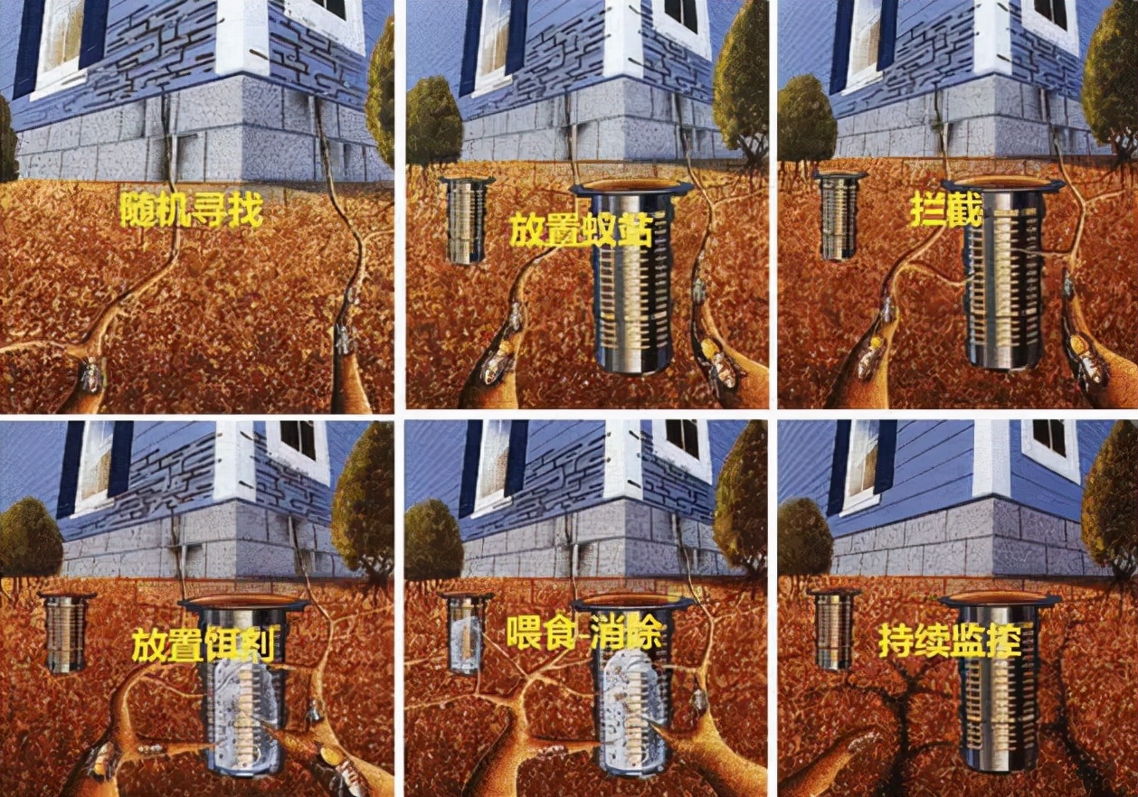 为什么不能对白蚁窝使用杀虫剂,雷达杀虫剂对白蚁有无杀灭作用