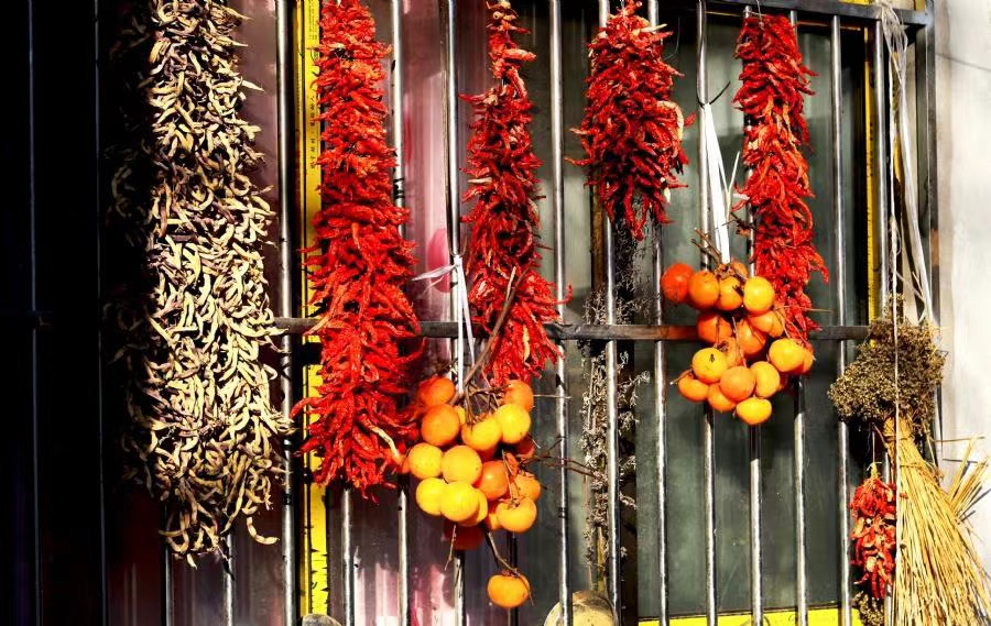 春盼草木发芽，夏盼植物生长