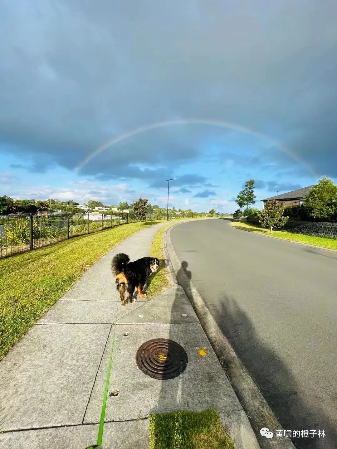 打完疫苗腰疼正常吗,打完宫颈疫苗腰疼怎么回事