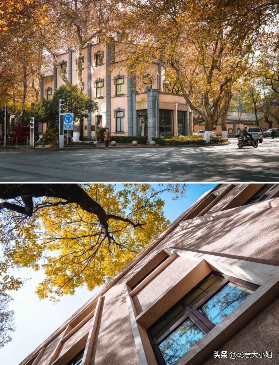 南京赏秋枫叶,南京秋天赏枫叶好去处