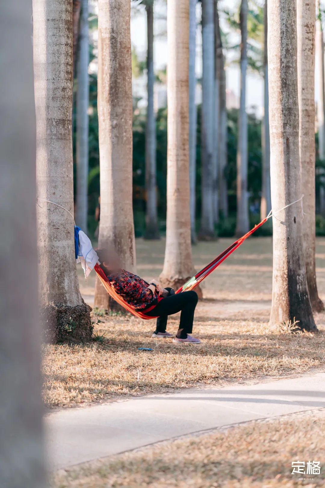 深圳免费露营的公园推荐,深圳22个露营公园
