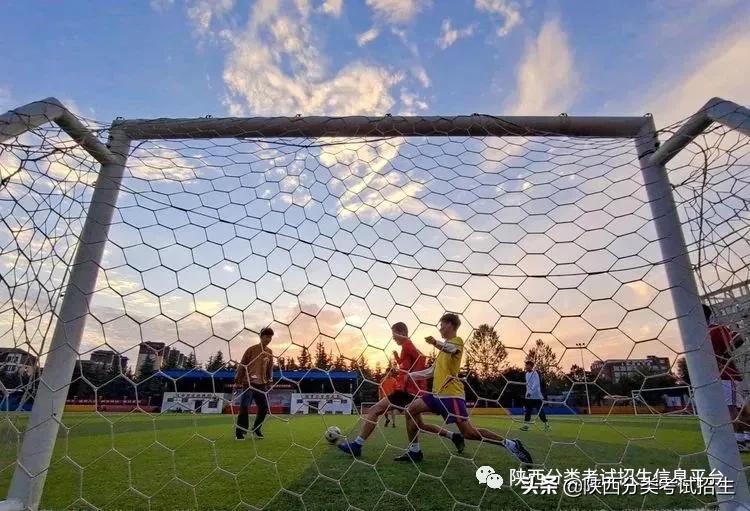 单招陕西财经职业技术学院,陕西财经职业技术学院单招条件