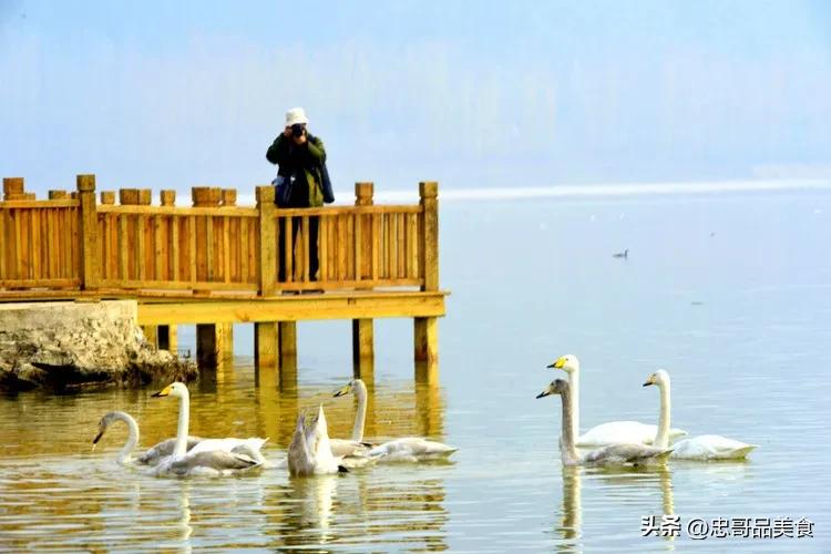 日落晚霞映照九曲十八弯,日落黄昏的九曲十八弯