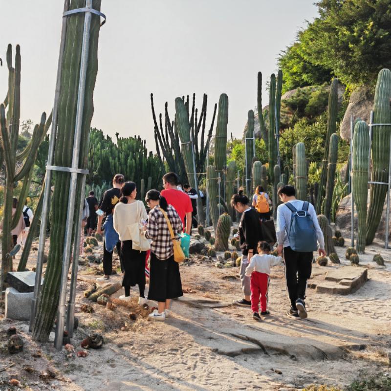 厦门遛娃好玩的地方排行榜,厦门室内遛娃排行榜