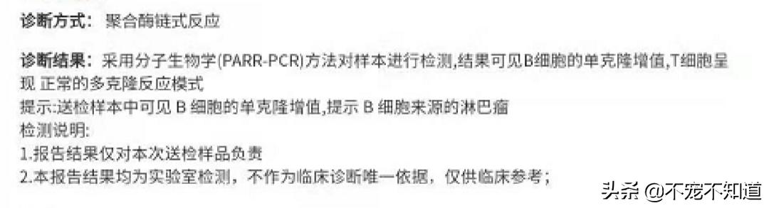 狗狗淋巴肿大，有可能是患了白血病