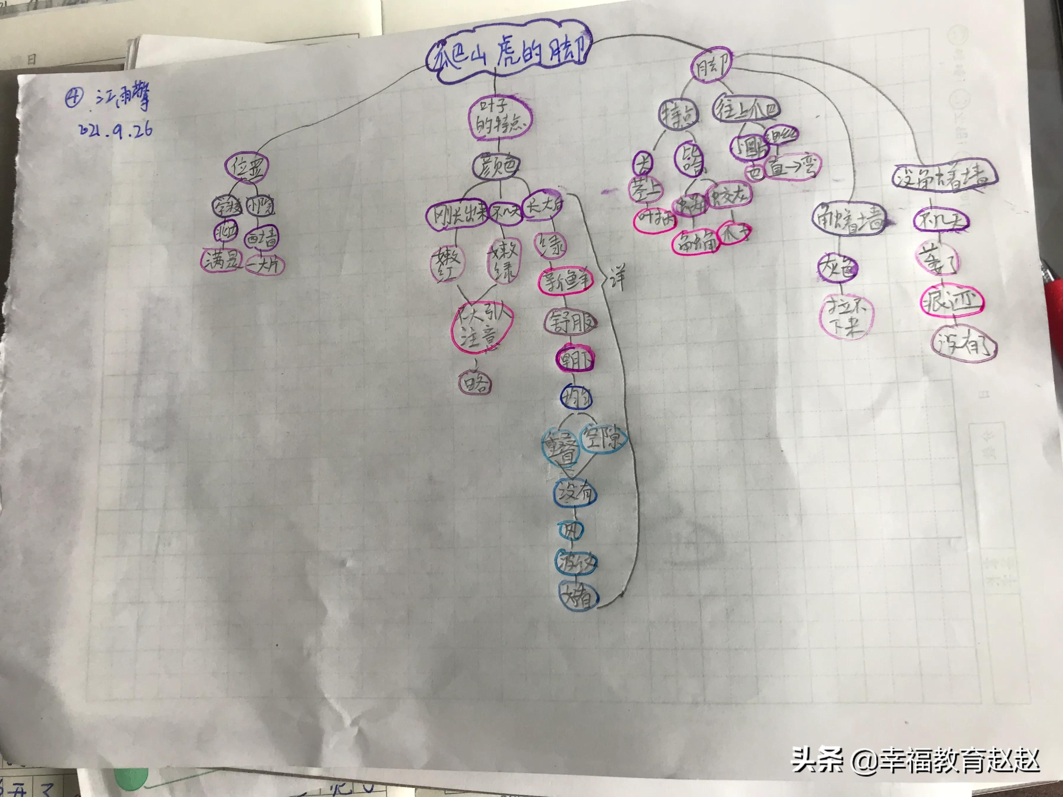 爬山虎的脚思维导图怎么画图片,爬山虎的脚思维导图绘画过程