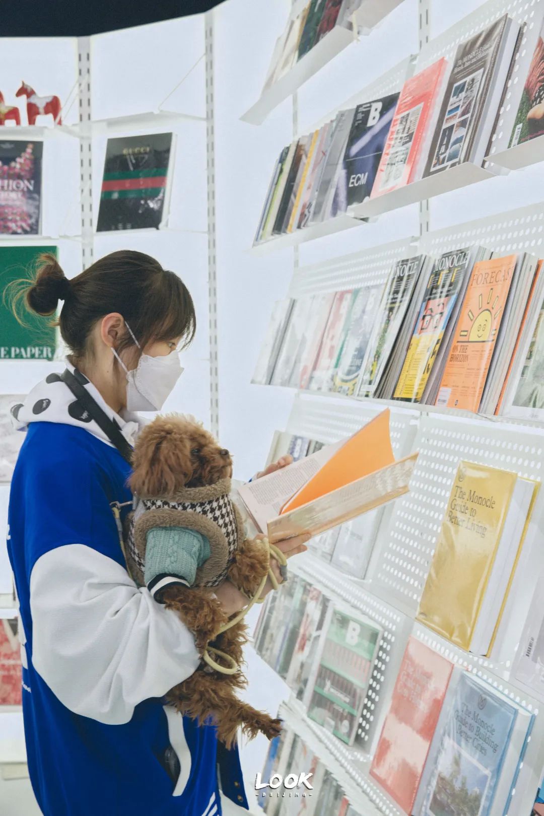 北京哪里有宠物店铺,宠物友好商城北京