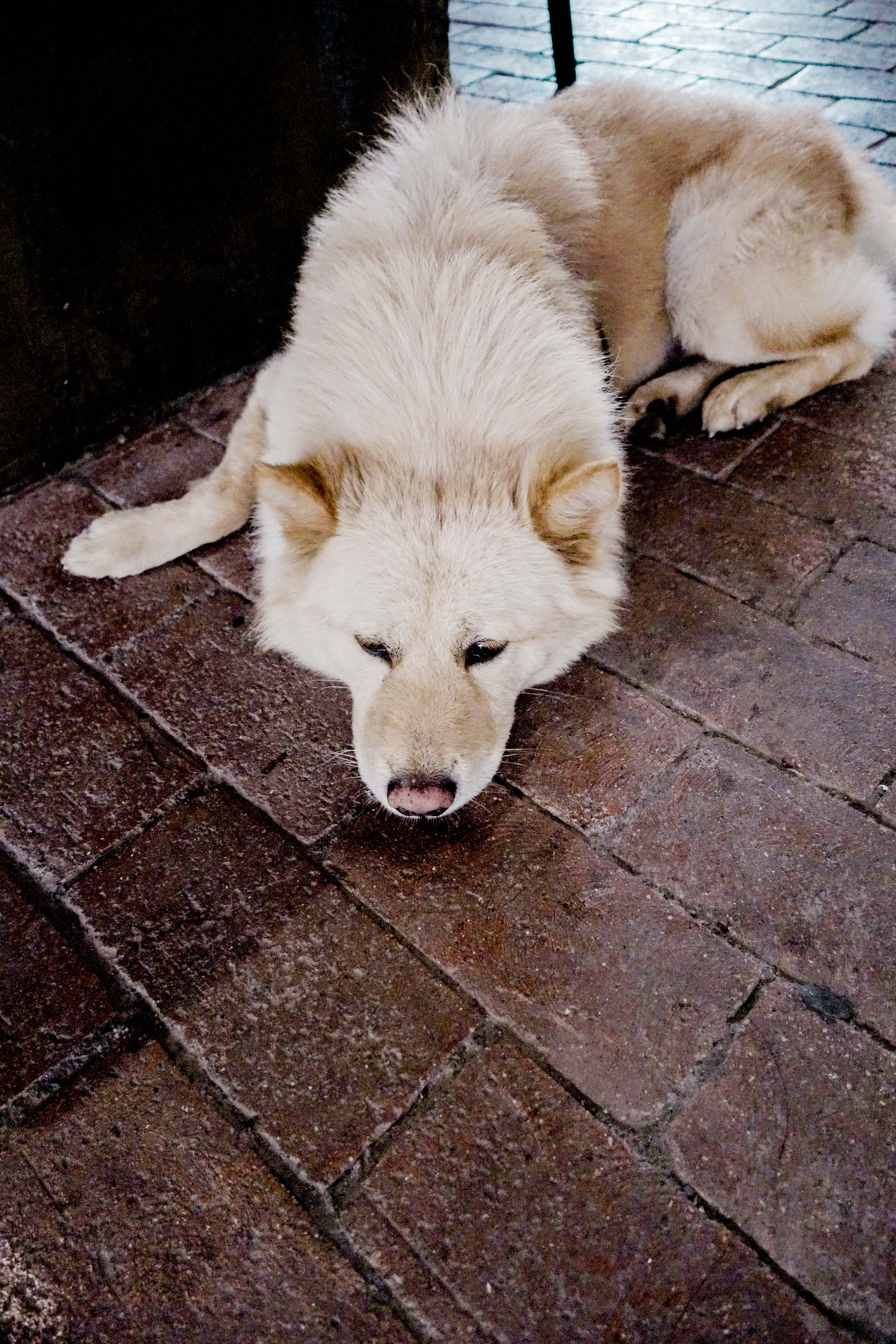 珠海海岛游最合适时间,珠海有什么海岛一日游最佳路线
