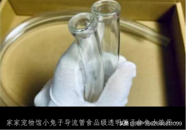 女大学生把30cm“兔兔管”插入体内：病态欲望，毁了多少年轻人！