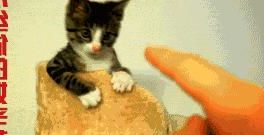 体现机智幽默的笑话段子图片,自行车搞笑幽默笑话