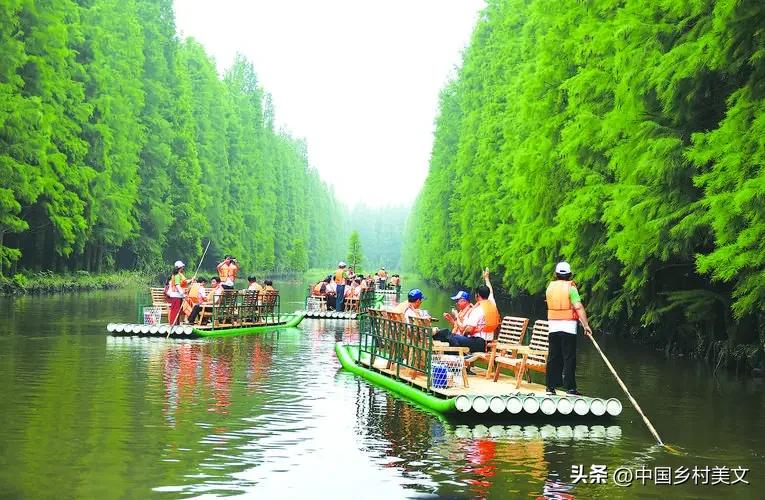 漫游金湖（散文）作者：周宏伟