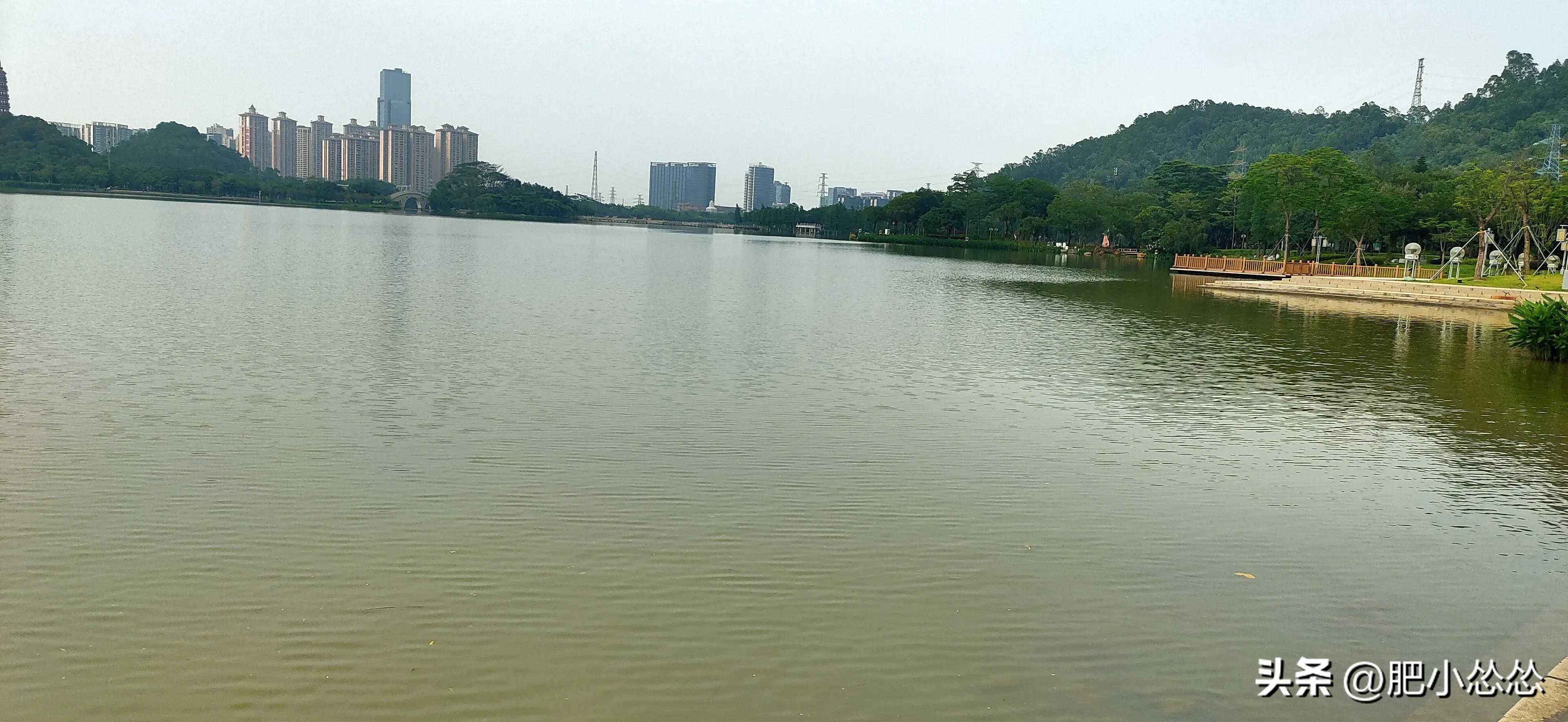 广州如何玩一天,玩转顺德攻略