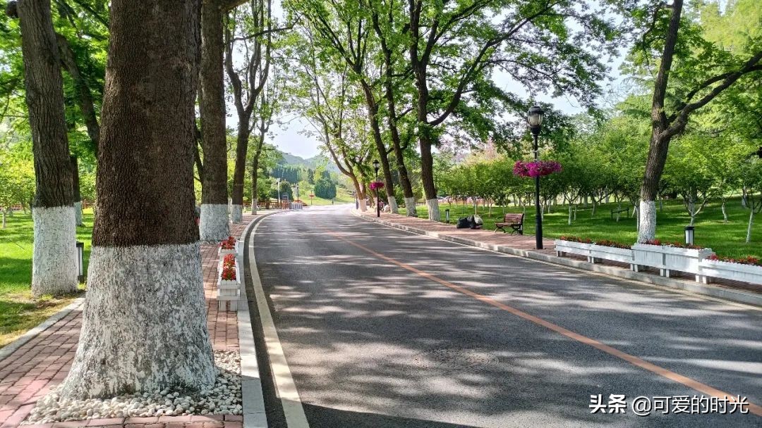 大连棒棰岛风景区最美图片,大连棒棰岛景区夏天美景