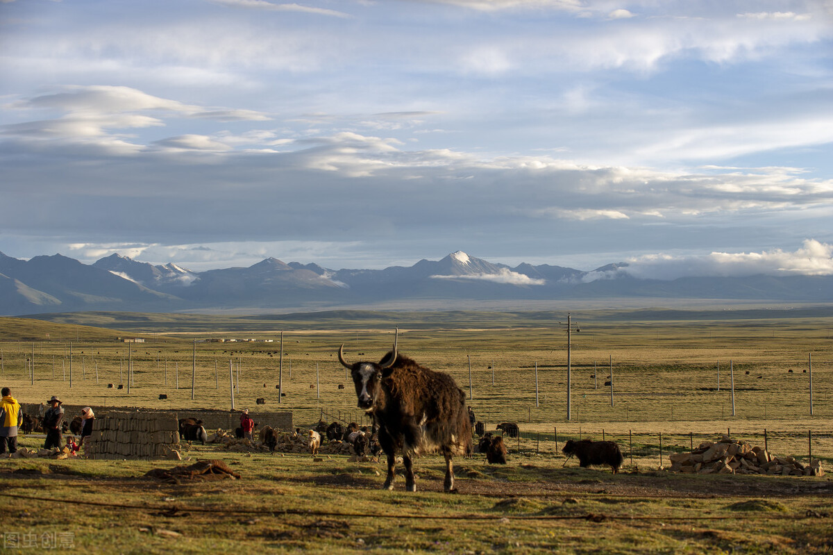 青藏高原消失的古国,神秘消失的王国古格王朝