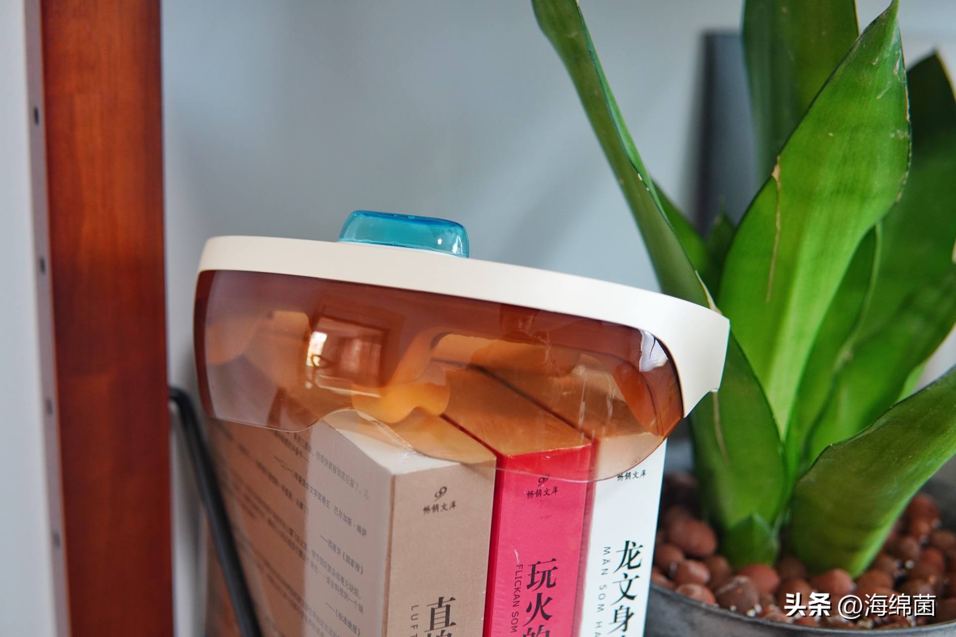 润眼仪怎么喷雾,眼睛雾化润眼仪测评