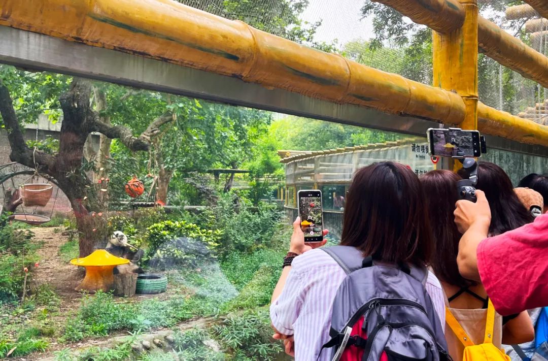 动物园探访,探秘动物的区域活动观察记录