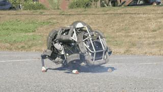 小鳄龟为啥养着养着就断尾了,以前不理解别人养宠物