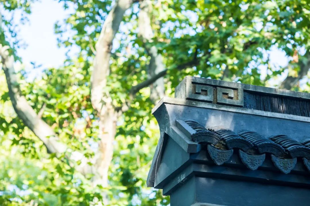 最美古文唯美句子,100句美到骨子里的宋词