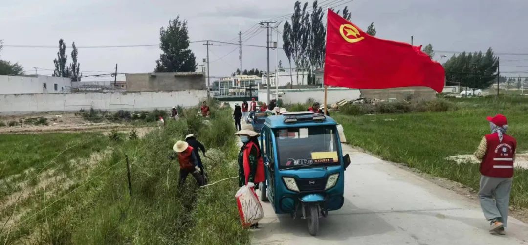 【一周综述】郭勒木德镇一周工作综述2023年第21期（2023年6月12日-6月18日）