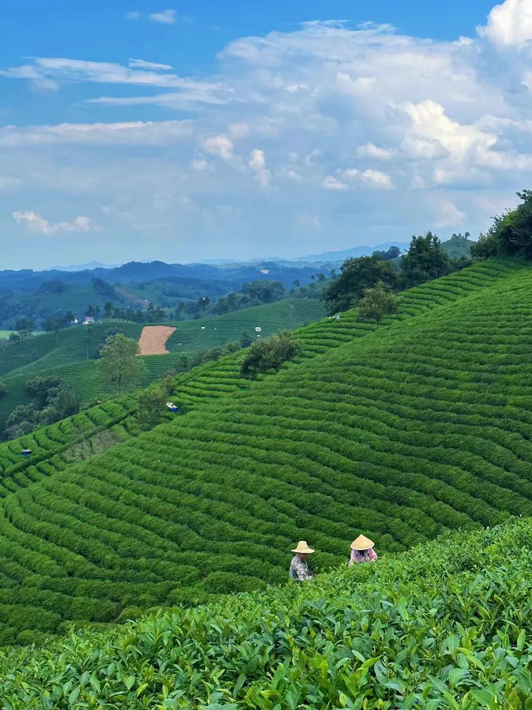 信阳南湾湖一日游详细攻略,信阳三日游攻略
