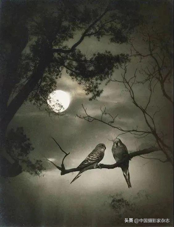 中秋节拍摄最美的月亮,中秋夜晚拍摄月亮的照片