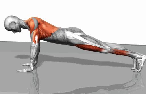 10个经典健身动作零基础,适合所有人的健身动作推荐