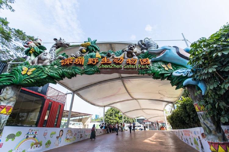 广东深圳动物园有熊猫吗,广东深圳野生动物园