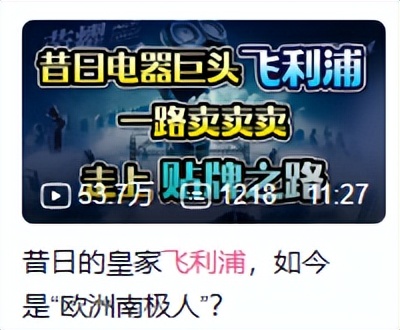 飞利浦整体的看法,飞利浦是不是最好的