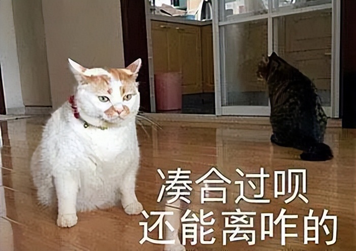 去航天工作学啥专业,进航天行业学什么专业