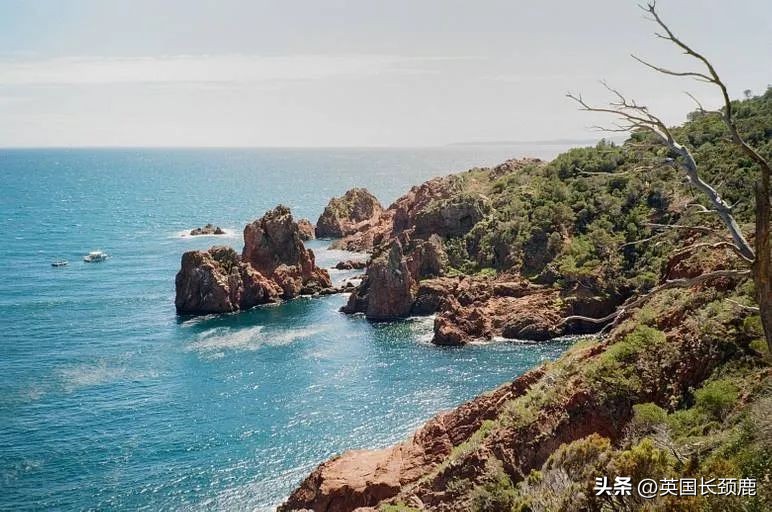 拍落日的胶片相机推荐,胶片机拍风景注意哪些问题