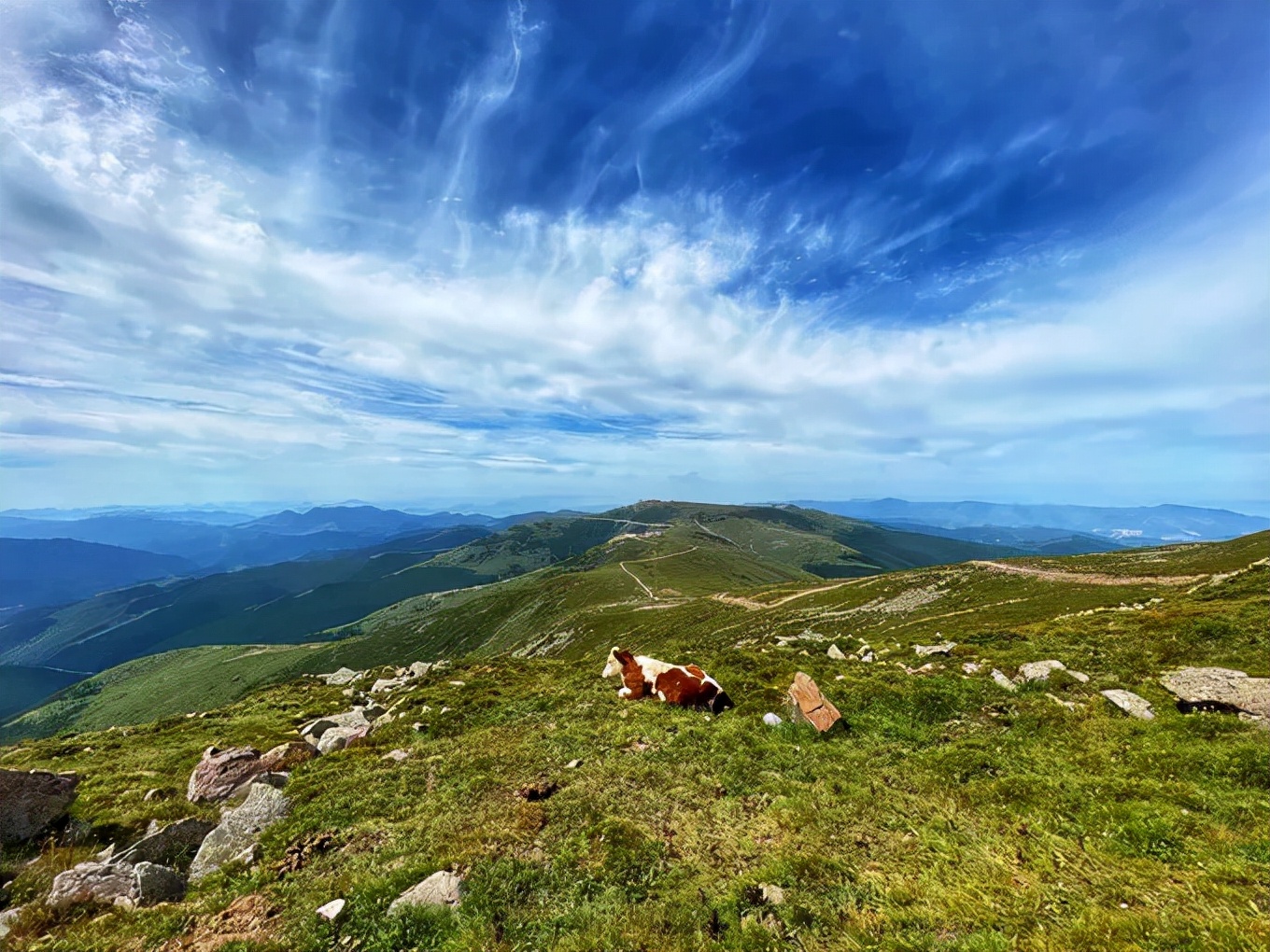 去五台山每个寺庙都可以许愿吗,去五台山一定能遇见文殊菩萨