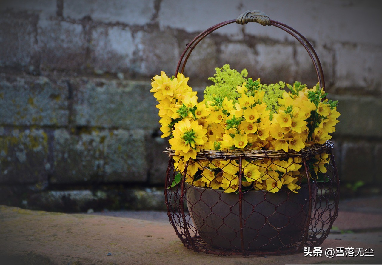 闪婚会不会后悔情感分析,闪婚会有哪些弊端