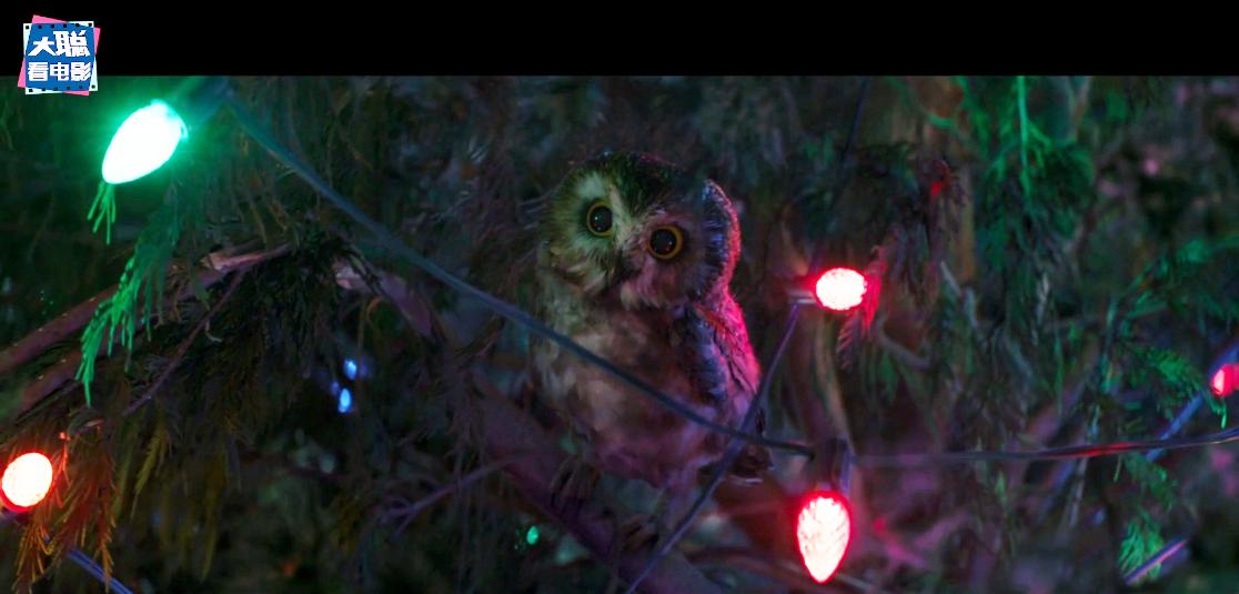 鹰眼大结局在线播放,鹰眼大结局完整版