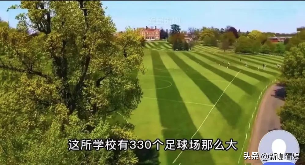 李湘和王岳伦两段婚姻,李湘王岳伦第几次婚姻