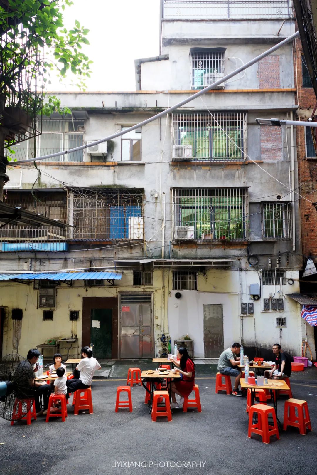 清远鸡什么地方最好,清远鸡冷知识