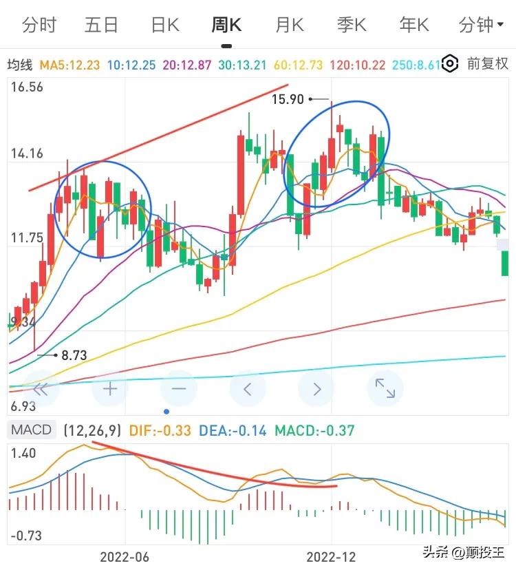 建发股份深度分析目标价位,建发股份为什么利润大增