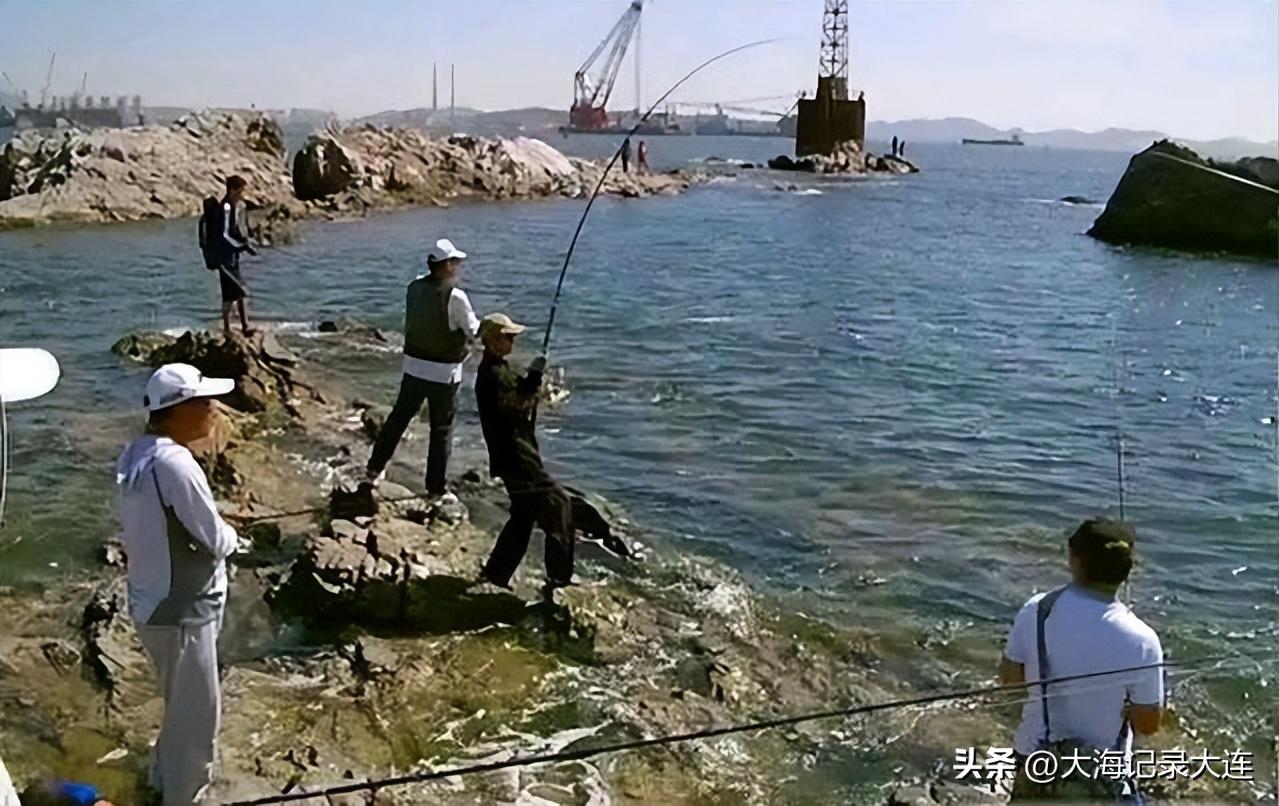 大连星海和蟹子湾荧光海哪个好看,蟹子湾公园荧光海是怎么形成的