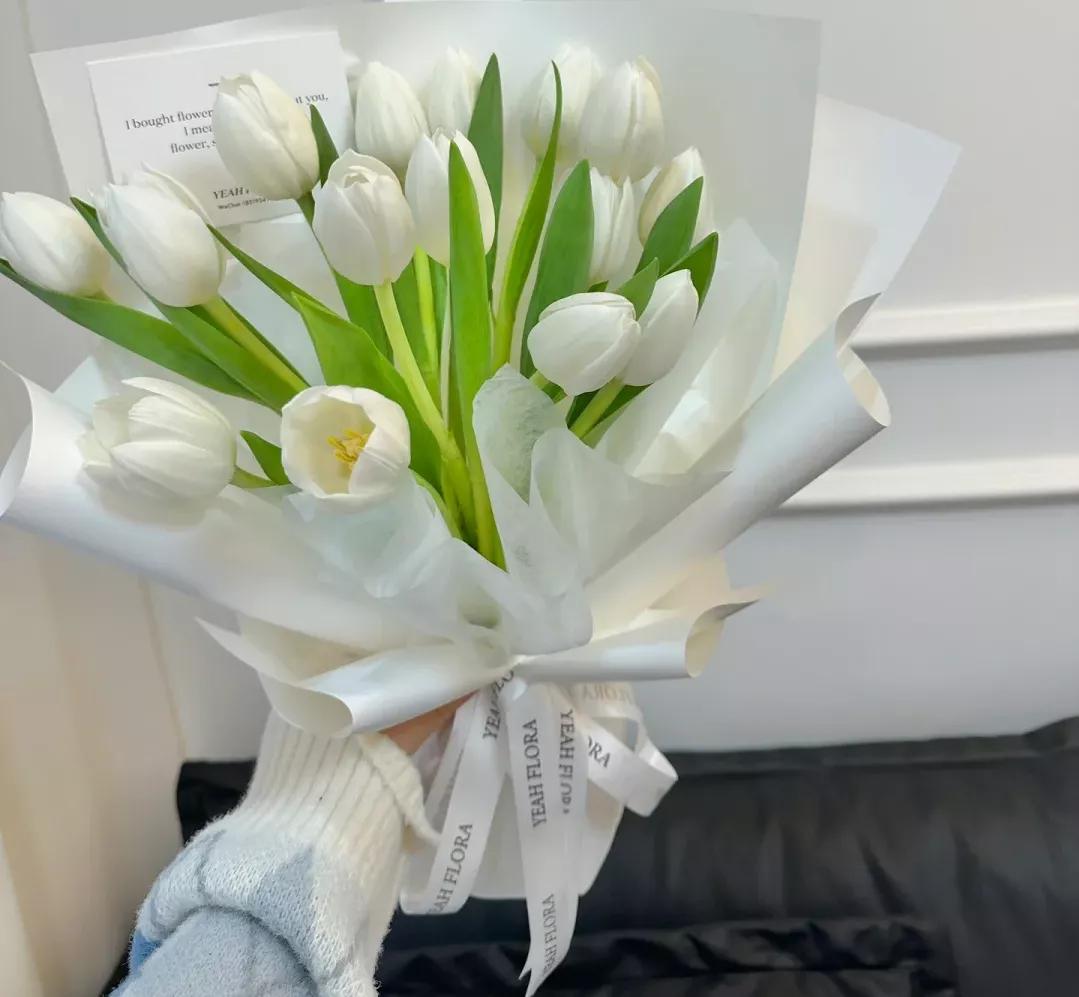 郁金香花语及传说,郁金香和玫瑰花语