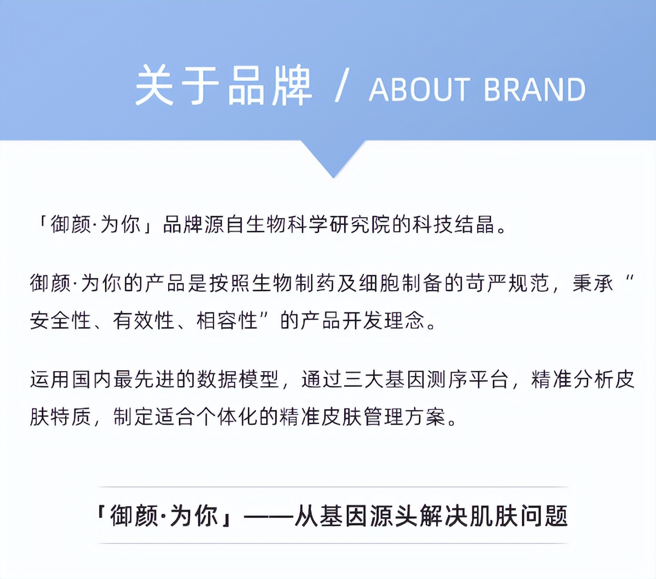 补水提拉紧致面膜一叶子,补水面膜胶原蛋白紧致抗皱10片装