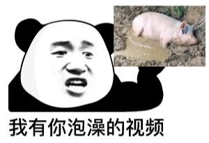 熊猫贴在墙上表情,震惊熊猫表情素材